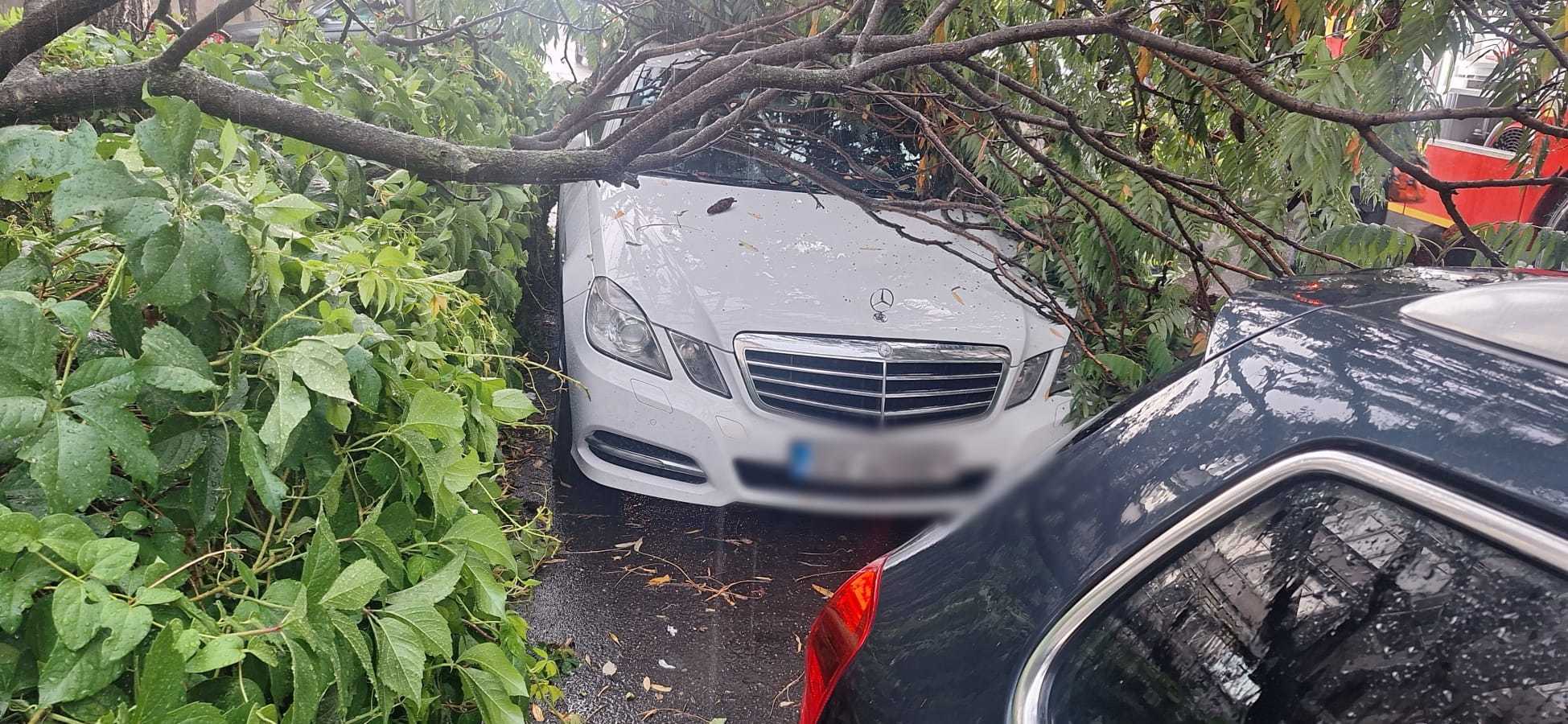 Inundaţii la Suceava, în urma ploii torenţiale/ La Fălticeni, vântul a doborât un copac/ Judeţul, aflat sub Cod roşu de vijelie