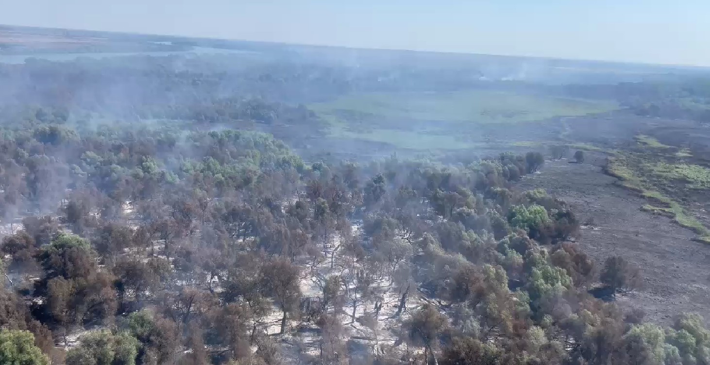 IGSU: Incendiul de la Chilia Veche a afectat aproximativ 35 de hectare de fond forestier şi alte 35 de hectare de vegetaţie uscată, lizieră şi lăstăriş/ Intervenţia continuă, inclusiv cu elicopterele/ Alt incendiu, în apropiere de Plauru - VIDEO