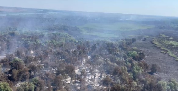 UPDATE - IGSU: Incendiul de la Chilia Veche a afectat aproximativ 35 de hectare de fond forestier şi alte 35 de hectare de vegetaţie uscată, lizieră şi lăstăriş/ Intervenţia continuă, inclusiv cu elicopterele/ Alt incendiu, în apropiere de Plauru - VIDEO