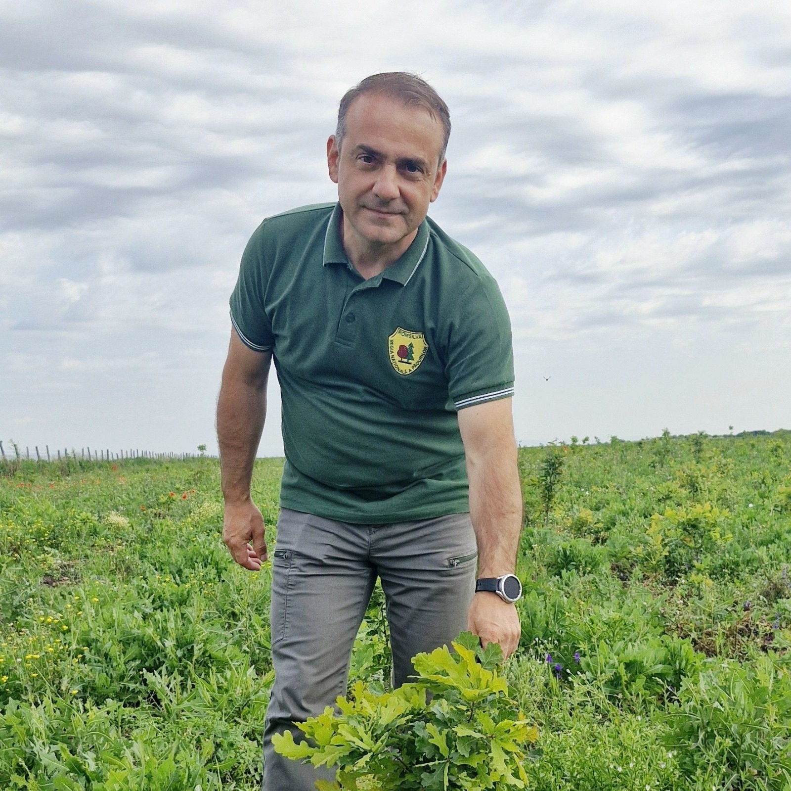 Directorul Direcţiei Silvice Buzău contestă reorganizarea Romsilva şi propune împărţirea Direcţiei Silvice Sud-Est