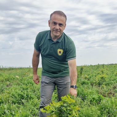 Directorul Direcţiei Silvice Buzău contestă reorganizarea Romsilva şi propune împărţirea Direcţiei Silvice Sud-Est