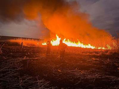 Garda de Mediu: Suntem într-un cerc vicios: arderea vegetaţiei alimentează încălzirea globală, iar încălzirea globală face incendiile şi mai probabile şi mai periculoase/ Să acţionăm responsabil, să nu mai punem şi noi ”gaz peste foc”