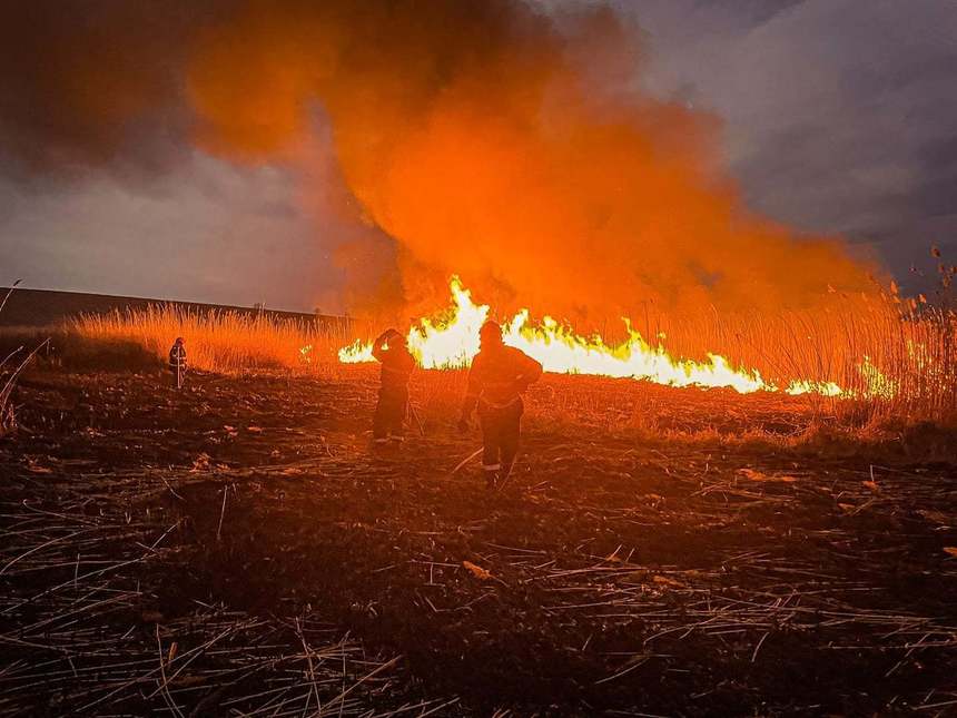 Garda de Mediu: Suntem într-un cerc vicios: arderea vegetaţiei alimentează încălzirea globală, iar încălzirea globală face incendiile şi mai probabile şi mai periculoase/ Să acţionăm responsabil, să nu mai punem şi noi ”gaz peste foc”