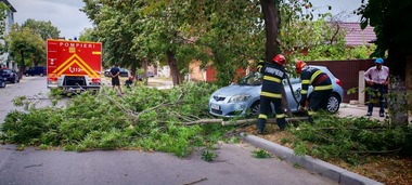 UPDATE - Vijelii puternice, în mai multe zone din ţară/ În Capitală, o persoană a ajuns la spital după ce un arbore a căzut peste ea/ În Argeş, trei persoane au fost lovite de un acoperiş smuls, una a murit/ Şi în Prahova, un acoperiş a căzut peste un om - FOTO