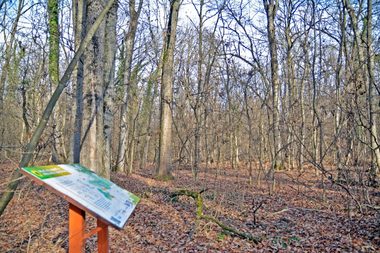 Preşedintele Greenfield – Băneasa: Avem o nevoie reală de un acces direct către oraşul din care facem parte / Ministrul Mediului: Sunt multe cartiere în Bucureşti cu un drum şi nu vor să taie Parcul Herăstrău să aibă două drumuri