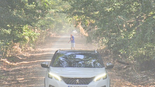 ONG-uri, grupări civice şi cetăţeni cer drectorului general Romsilva, Jean Vişan, rezilierea contractului care a deschis drumul forestier pentru trafic auto în Pădurea Băneasa

