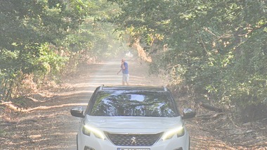 ONG-uri, grupări civice şi cetăţeni cer drectorului general Romsilva, Jean Vişan, rezilierea contractului care a deschis drumul forestier pentru trafic auto în Pădurea Băneasa

