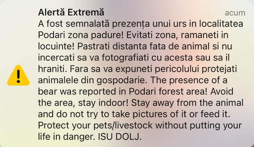 Grup de lucru operativ în judeţul Dolj, după apariţia unui urs în localitatea Podari / Prefectul cere tuturot instituţiilor să fie pregătite în orice moment pentru intervenţie