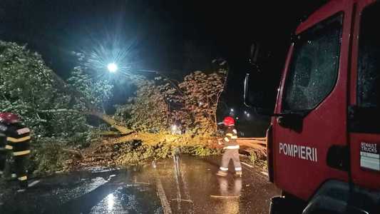 IGSU: Vremea rea a produs efecte în 27 de localităţi din şapte judeţe şi în Bucureşti/ Peste o sută de copaci au căzut, fiind avariate o sută de autoturisme