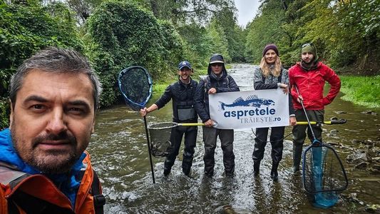 Activistul de mediu Alex Găvan semnalează poluare masivă pe râul Vâlsan, unde trăieşte aspretele, cel mai rar peşte de apă dulce din Europa: Vâlsanul e o bombă cu ceas. O chestiune de sănătate publică, nu doar o crimă de mediu/ Râul acesta moare - FOTO