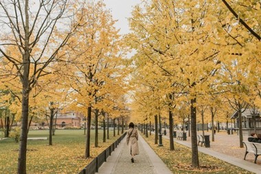 Meteorologi: Temperaturi mai ridicate decât cele specifice perioadei, până la jumătatea lunii noiembrie