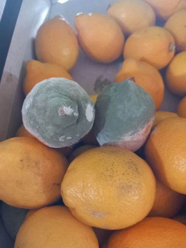 Peste 450 de operatori economici din ţară, verificaţi în această săptămână de ANPC/ Amenzile date depăşesc 1,4 milioane de lei/ Au fost găsite produse alimentare expirate şi fructe mucegăite 