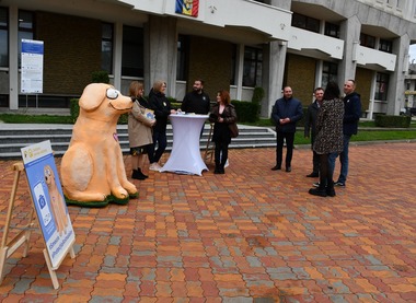 O mascotă prezentată drept un „căţeluş prietenos şi plin de viaţă”, amplasată în centrul Piteştiului pentru a-i determina pe oameni să-şi sterilizeze animalele/ Reacţii critice din partea internauţilor - FOTO
