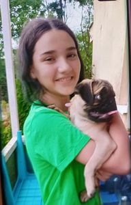 UPDATE - Fată de 12 ani din Târgu Mureş, căutată după ce a plecat de la şcoală, dar nu a mai ajuns acasă/ Ea a fost găsită de poliţişti, fiind făcute ”verificări procedurale”