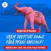 Protest în Piaţa Victoriei – ”Vrem drepturi egale, fără pensii speciale!” / Organizaţiile civice cer aplicarea principiului contributivităţii pentru toate pensiile din România

