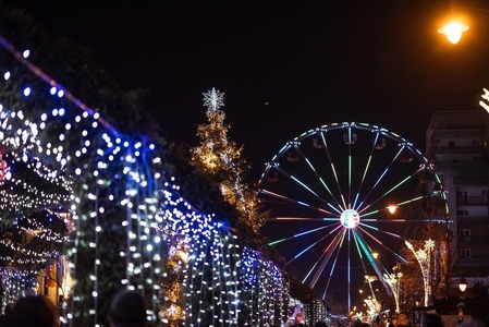 Iaşi: 26 de brazi mari, dar şi alţi 850 în ghivece, vor fi montaţi în oraş cu ocazia sărbătorilor de iarnă. Iluminatul festiv va fi aprins în 1 decembrie în faţa Primăriei