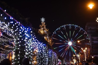 Iaşi: 26 de brazi mari, dar şi alţi 850 în ghivece, vor fi montaţi în oraş cu ocazia sărbătorilor de iarnă. Iluminatul festiv va fi aprins în 1 decembrie în faţa Primăriei