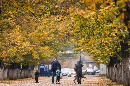 FOTO: Cristian Emilian Ion