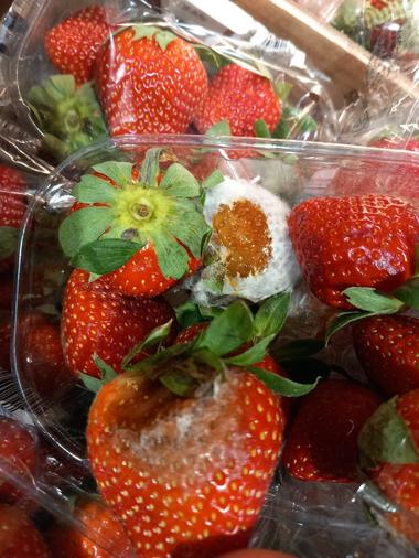 ANPC a dat amenzi de 3,2 milioane de lei după controale la marile magazine din Bucureşti/ Au fost găsite produse expirate, diferenţă între preţul de la raft şi cel de la casa de marcat/ Peste patru tone de produse neconforme, oprite definitiv de la vânzare