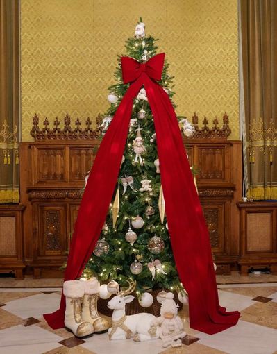 Nicuşor Dan, mesaj de Crăciun: Să ne regăsim puterea de a fi mai buni, mai înţelepţi şi mai înţelegători pentru ca, împreună, să ne recăpătăm forţa unei naţiuni conştiente de identitatea sa şi hotărâte să îşi construiascä viitorul cu încredere