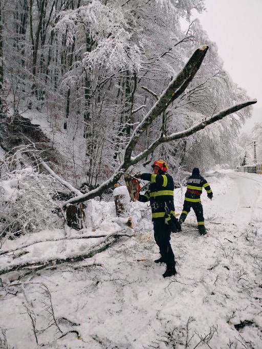 UPDATE - Hunedoara: Echipajele ISU au avut 34 de intervenţii după căderile masive de zăpadă, în principal pentru îndepărtarea copacilor prăbuşiţi sau a unor cabluri căzute/ Circa 10.000 de consumatori nu au electricitate