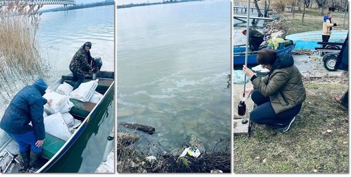 Poluare pe Dunăre, în dreptul localităţii Moldova Nouă din judeţul Caraş-Severin
