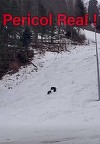 Ursoaică şi pui, în zona pârtiei Lupului din Poiana Braşov/ Recomandările jandarmilor - VIDEO