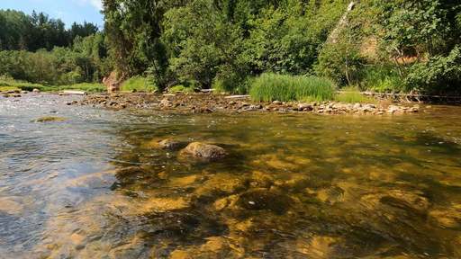 Sibiu: Fratele celor doi copii care s-au înecat într-un pârâu, în localitatea Chirpăr, dat în plasament în regim de urgenţă
