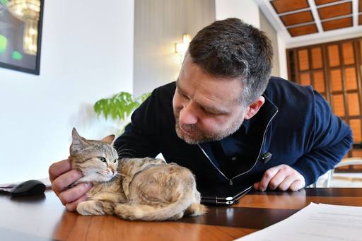Cathy, noua pisică de birou a primarului general al Capitalei/ Ciprian Ciucu: A fost «chimie» între noi la prima vedere, după câteva minute mi-a tors în braţe - FOTO