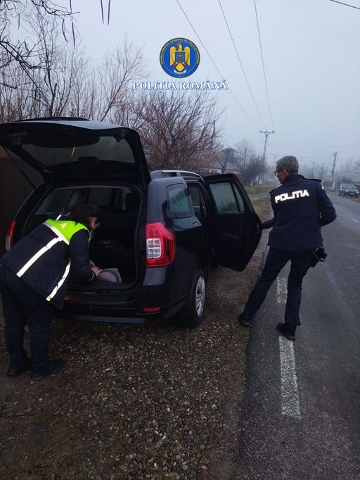 Vrancea - Şase percheziţii în dosarul adăpostului privat de câini din Suraia. Anchetă pentru uciderea şi schingiuirea animalelor, abuz în serviciu şi fals - FOTO
