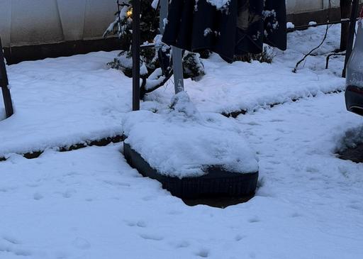Medic psihiatru, despre mesajele RoAlert: Cred în prevenţie şi în necesitatea avertizării, însă cred şi în proporţionalitate şi raţional. Nu orice inconvenient este o catastrofă, nu orice ninsoare e un dezastru/ Efectele acestor mesaje asupra oamenilor