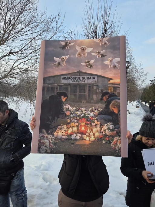 Protest în faţa Parlamentului: Asociaţii pentru protecţia animalelor şi iubitori de animale cer schimbarea legislaţiei şi măsuri ferme astfel încât câinii să nu mai fie eutanasiaţi