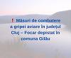 F️ocar de gripă aviară, în comuna Gilău/ Două lebede, găsite moarte în zona lacului de acumulare Gilău-Someşu Rece