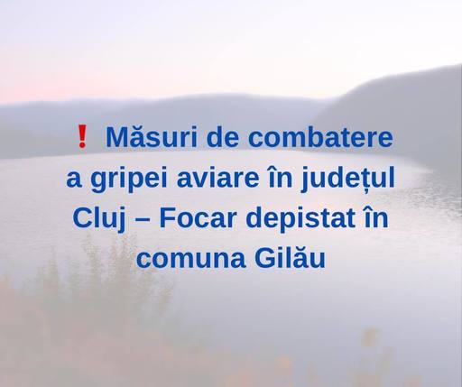 F️ocar de gripă aviară, în comuna Gilău/ Două lebede, găsite moarte în zona lacului de acumulare Gilău-Someşu Rece