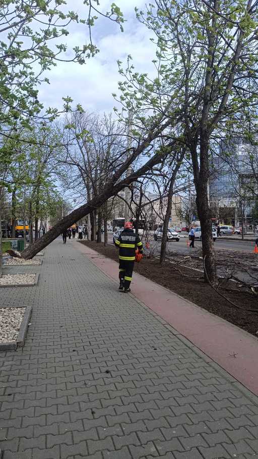 ANM - Intensificări ale vântului în mai multe regiuni până vineri seară / Moldova nordul Dobrogei se vor afla vineri sub atenţionare cod galben de vânt - HARTA / Cum va fi vremea în Bucureşti