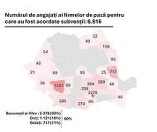 ANOFM a sesizat instituţiile care pot face verificări cu privire la cazurile de angajaţi înregistraţi în judeţele Galaţi şi Gorj, pentru care mai multe firme au solicitat subvenţii de la stat / Nu sunt excluse presiuni asupra angajaţilor să demisioneze