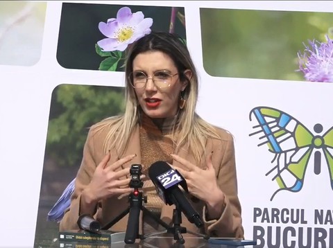 Buzoianu: Pădurea Băneasa poate să fie un parc natural, poate să fie o arie protejată / Când vom avea toate documentele pentru a fi declarată arie protejată, vom face acest pas

