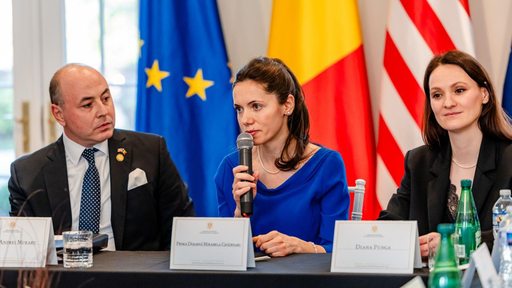 Mirabela Grădinaru, alături de consilierii de stat Ana Maria Geană şi Diana Punga, şi Ambasadorul Alexandru Muraru, masă rotundă la Washington, D.C, cu comunitatea de medici români din SUA / Discuţii despre gestionarea fenomenului adicţiilor
