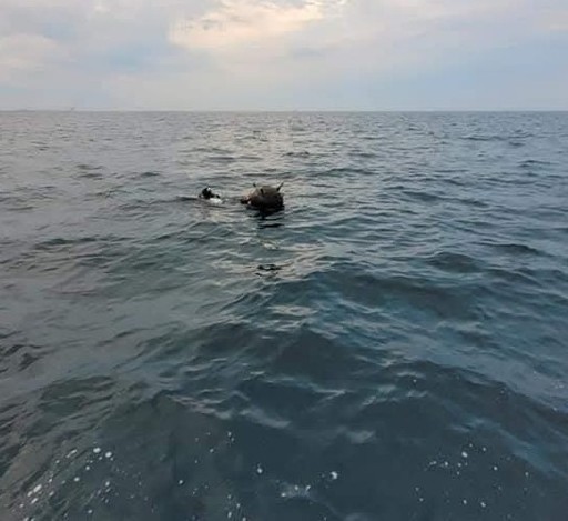 Ambasada Rusiei la Bucureşti: Minele marine în derivă din Marea Neagră au exclusiv origine ucraineană şi nu au nicio legătură cu Rusia / Ministerul Apărării: Manifestări ale intenţiei Federaţiei Ruse de a distorsiona realitatea
