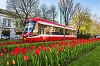 Primarul din Arad propune un tarif de 1 leu pe zi la transportul public/ Măsura vine în contextul creşterii preţurilor la carburanţi, dar şi pentru a încuraja folosirea tramvaielor şi autobuzelor electrice