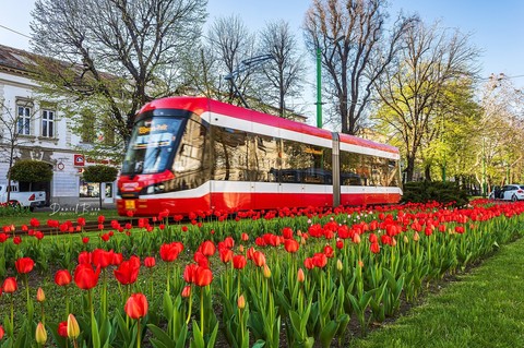 Primarul din Arad propune un tarif de 1 leu pe zi la transportul public/ Măsura vine în contextul creşterii preţurilor la carburanţi, dar şi pentru a încuraja folosirea tramvaielor şi autobuzelor electrice