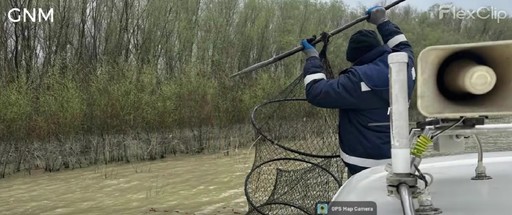 Garda de Mediu: Am scos peste 6 kilometri de plase ilegale din ape în ultimele două săptămâni/ Sute de kilograme de peşte transportat ilegal, fără niciun document de provenienţă