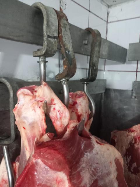 Amenzi de 3,8 milioane de lei date de ANPC după controale făcute săptămâna aceasta/ Au fost găsite ouă cu impurităţi, miei vânduţi în spaţii neîntreţinute corespunzător, produse din carne fără elemente de identificare