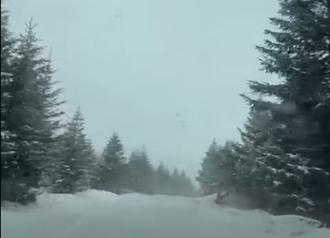 Atmosferă ca de Crăciun la munte, în prag de Paşte/ La Voineasa şi în Munţii Şureanu ninge, iar zăpada s-a aşternut în strat gros - VIDEO