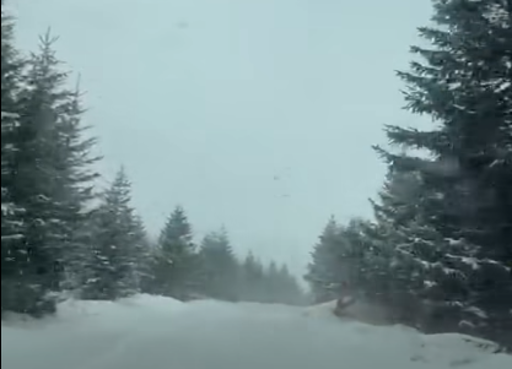 Atmosferă ca de Crăciun la munte, în prag de Paşte/ La Voineasa şi în Munţii Şureanu ninge, iar zăpada s-a aşternut în strat gros - VIDEO