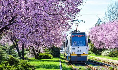 Primăria Capitalei anunţă programul de Paşte al mijloacelor de transport în comun/ În noaptea de Înviere, 25 de linii de noapte şi linia de tramvaie 41, până în jurul orei 03.00