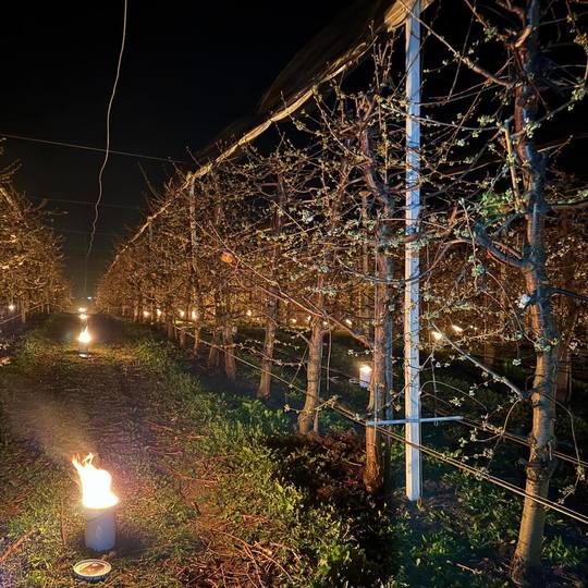 FOTO: Facebook Ferma Steluţa