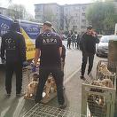 Bucureşti – 25 de câini care erau ţinuţi într-un apartament, în condiţii mizere, fără hrană şi apă suficiente, dar şi fără tratamente medicale, preluaţi de ASPA / Câinii au între 10 luni şi 15 ani şi suferă de diferite afecţiuni - FOTO