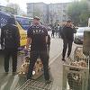 Bucureşti – 25 de câini care erau ţinuţi într-un apartament, în condiţii mizere, fără hrană şi apă suficiente, dar şi fără tratamente medicale, preluaţi de ASPA / Câinii au între 10 luni şi 15 ani şi suferă de diferite afecţiuni - FOTO