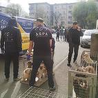 Bucureşti – 25 de câini care erau ţinuţi într-un apartament, în condiţii mizere, fără hrană şi apă suficiente, dar şi fără tratamente medicale, preluaţi de ASPA / Câinii au între 10 luni şi 15 ani şi suferă de diferite afecţiuni - FOTO